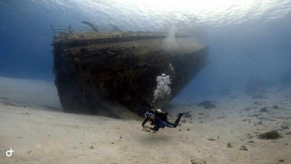 open water diver