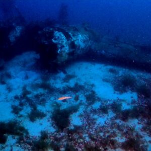 Deep diver