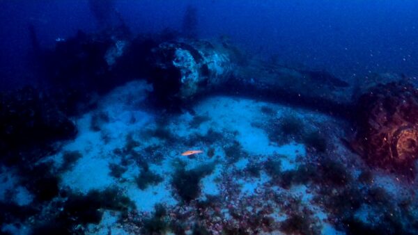 Deep diver