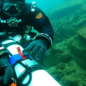 Dry suit diver