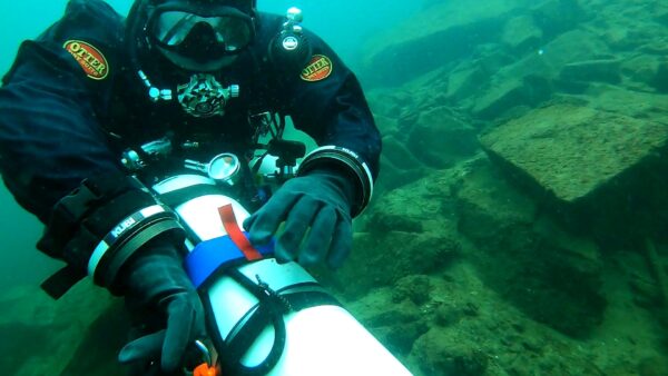 Dry suit diver