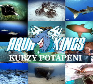 kurzy potápění